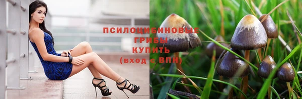наркотики Белокуриха